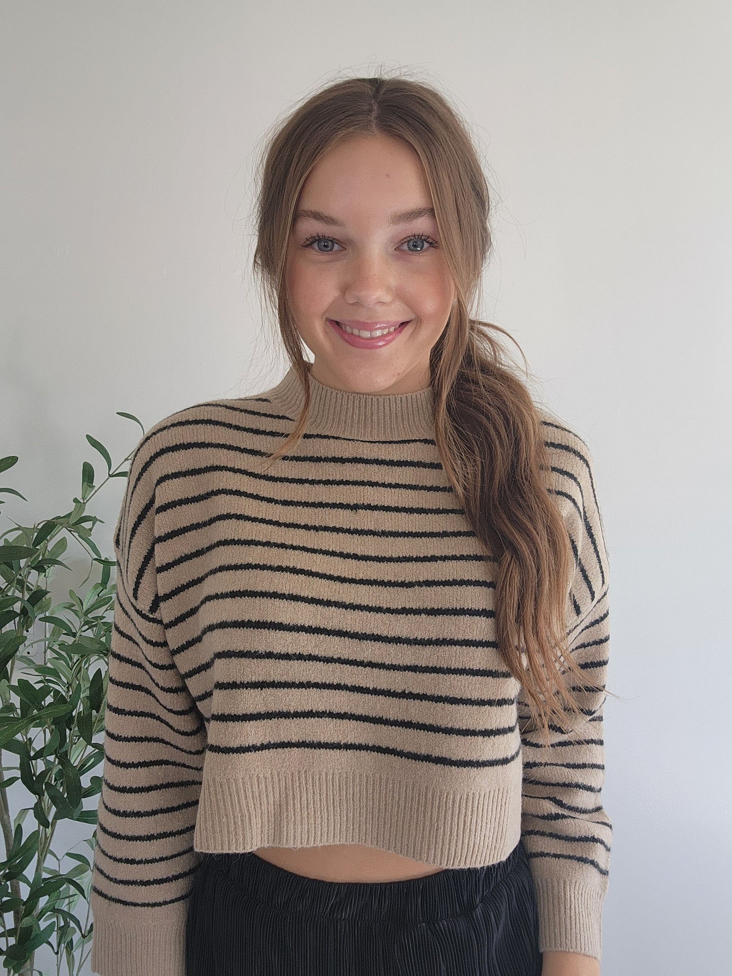 Cropped Stripe Knit Pullover Sweater Black and Tan Front