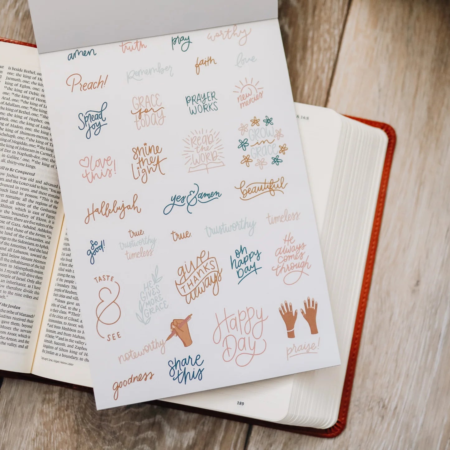 Bible Study Stickers - Blush Pink