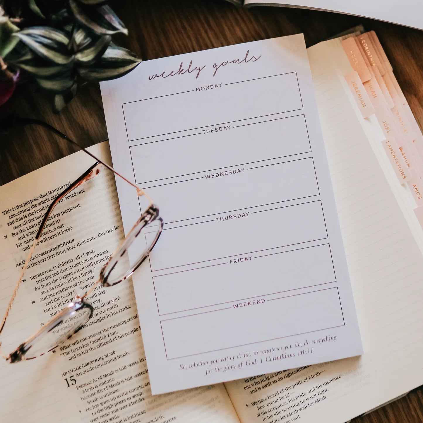 Weekly Goals Notepad - Blush Floral