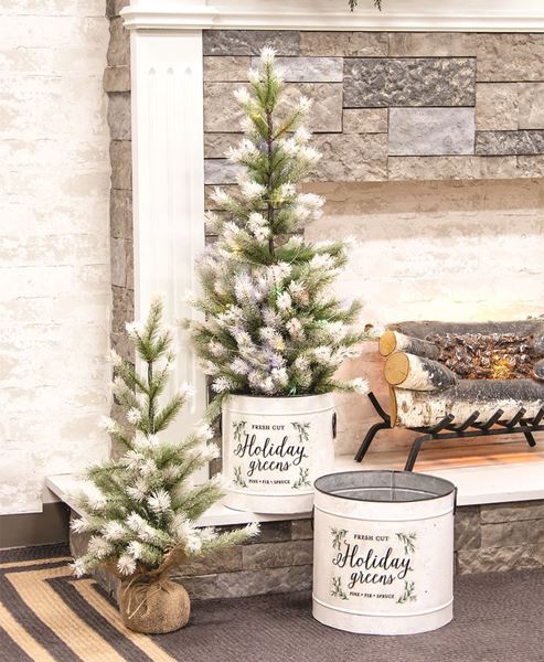 Frost Fade Pine Tree, 2 ft