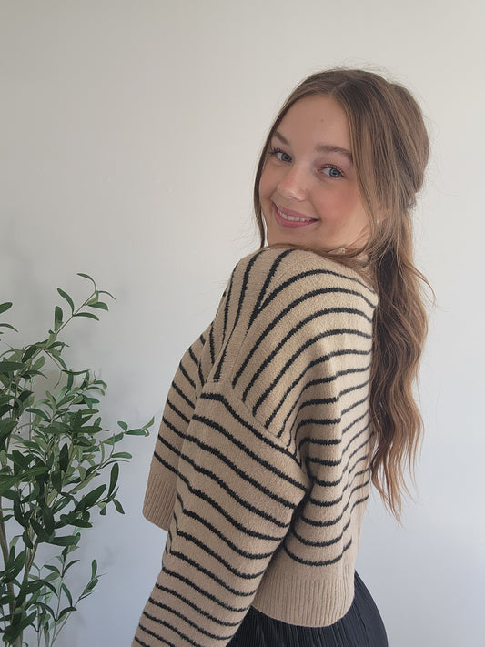 Cropped Stripe Knit Pullover Sweater Black and Tan Side