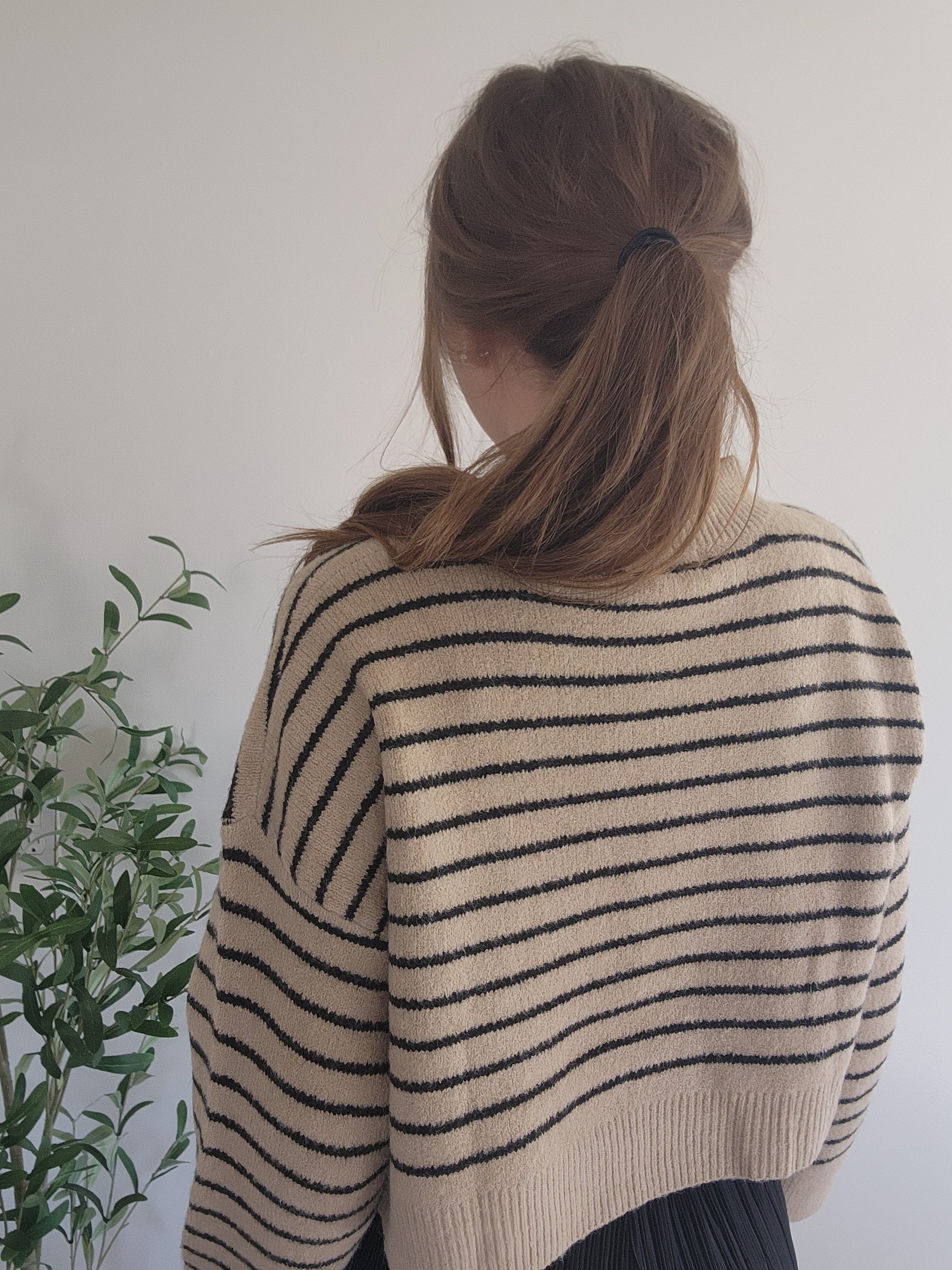 Cropped Stripe Knit Pullover Sweater Black & Tan Back