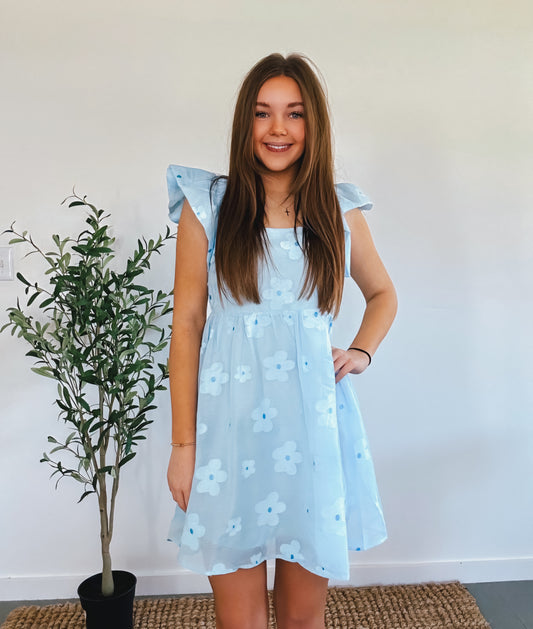 Sky Blue Flower Embroidered Sheer Organza Mini Dress