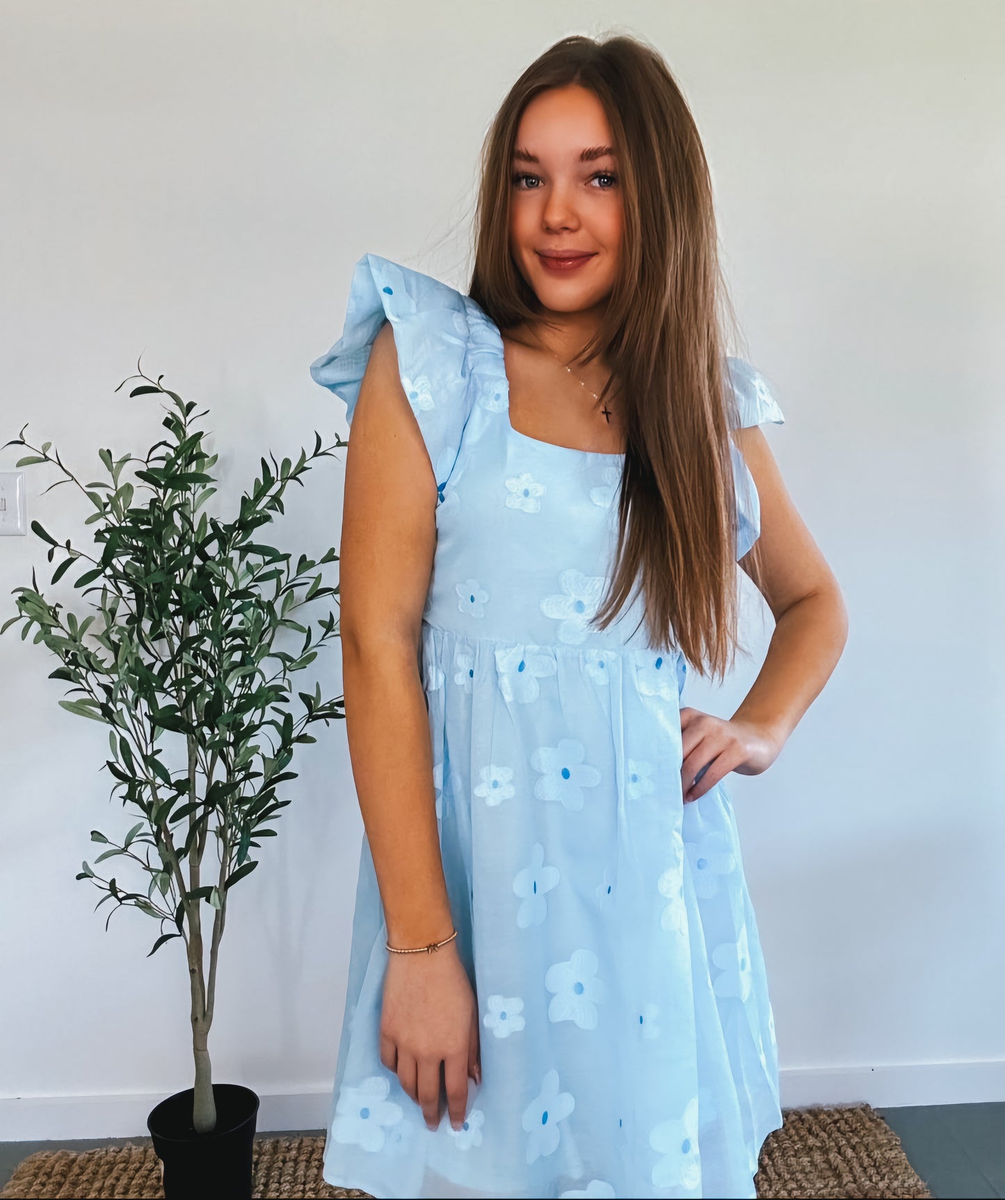 Sky Blue Flower Embroidered Sheer Organza Mini Dress