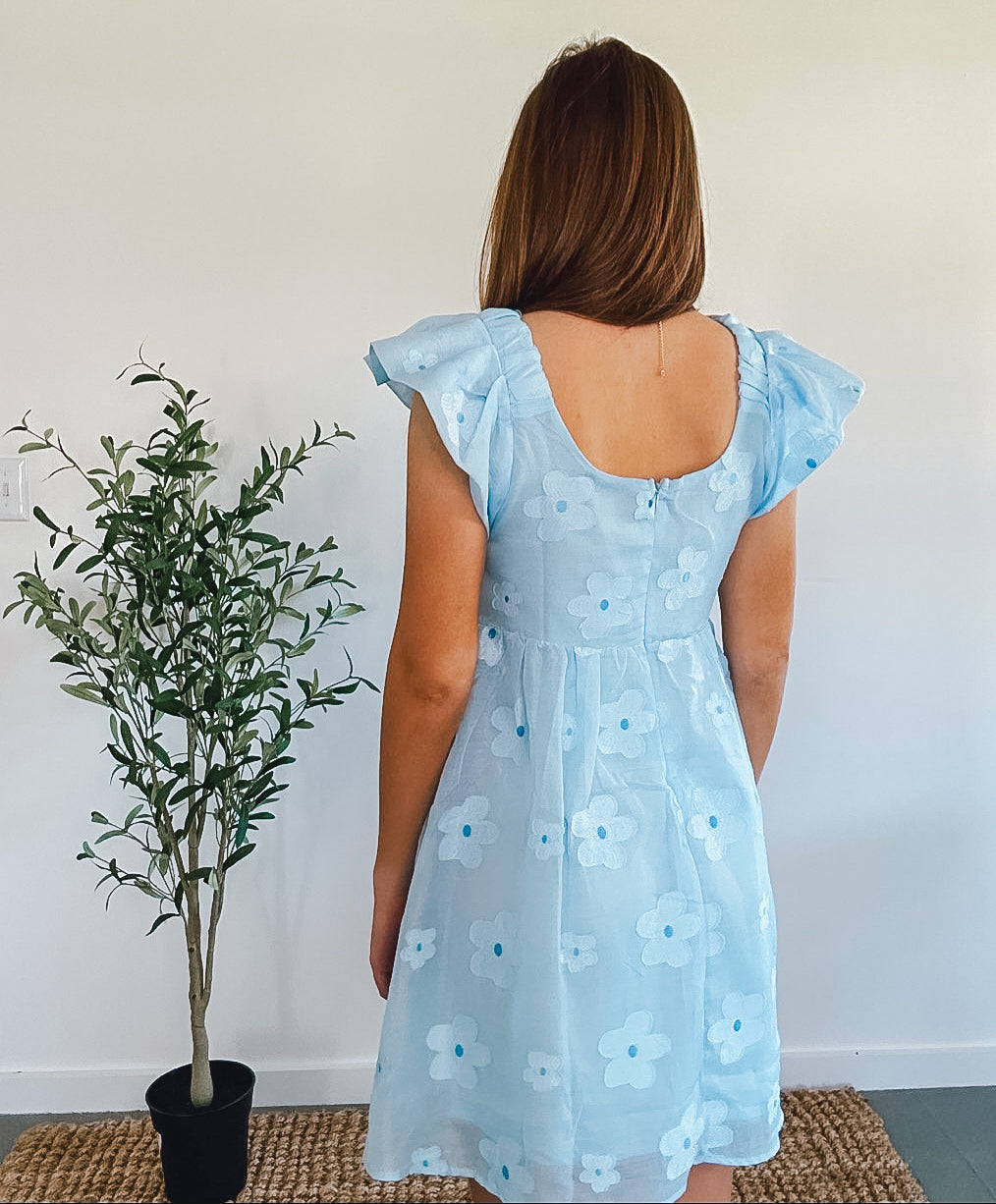 Sky Blue Flower Embroidered Sheer Organza Mini Dress Small Sky Blue Flower Embroidered Sheer Organza Mini Dress Small