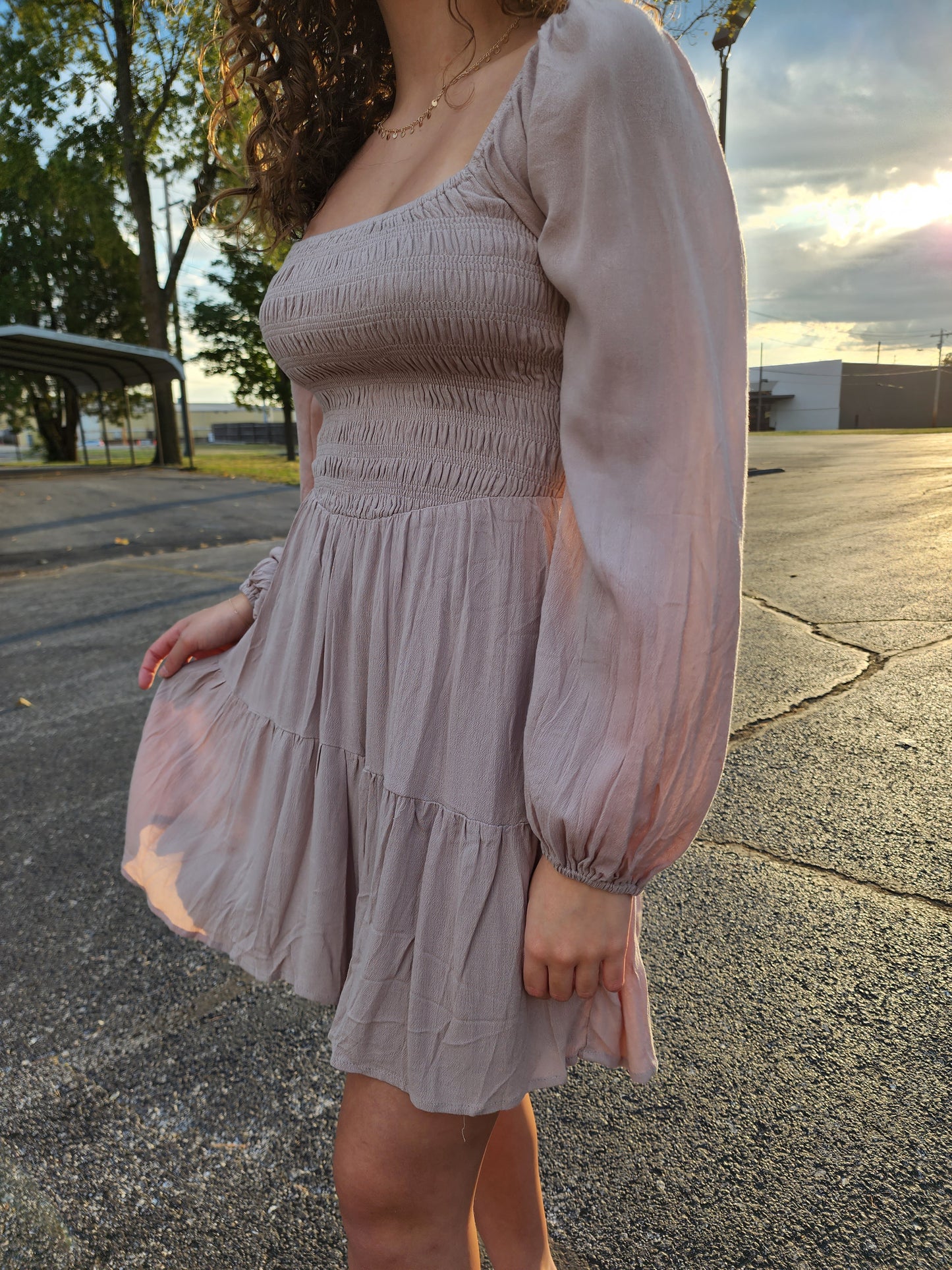 Puff Sleeve Smocked Mini Dress
