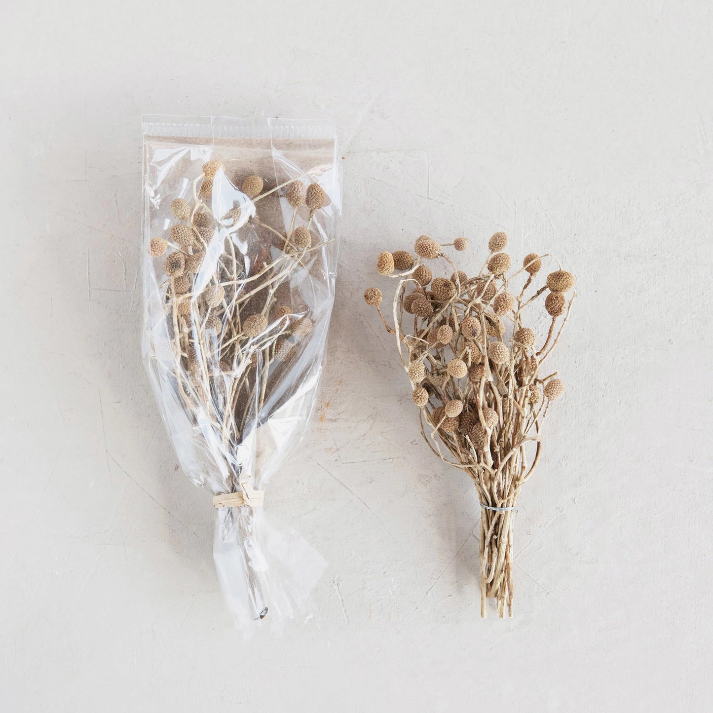 Dried Natural Bora Bunch